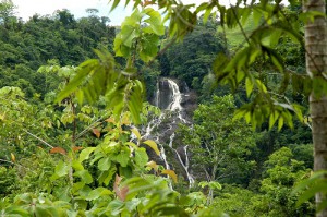 Cascada-y-selva-en-Quepos-Puriscal