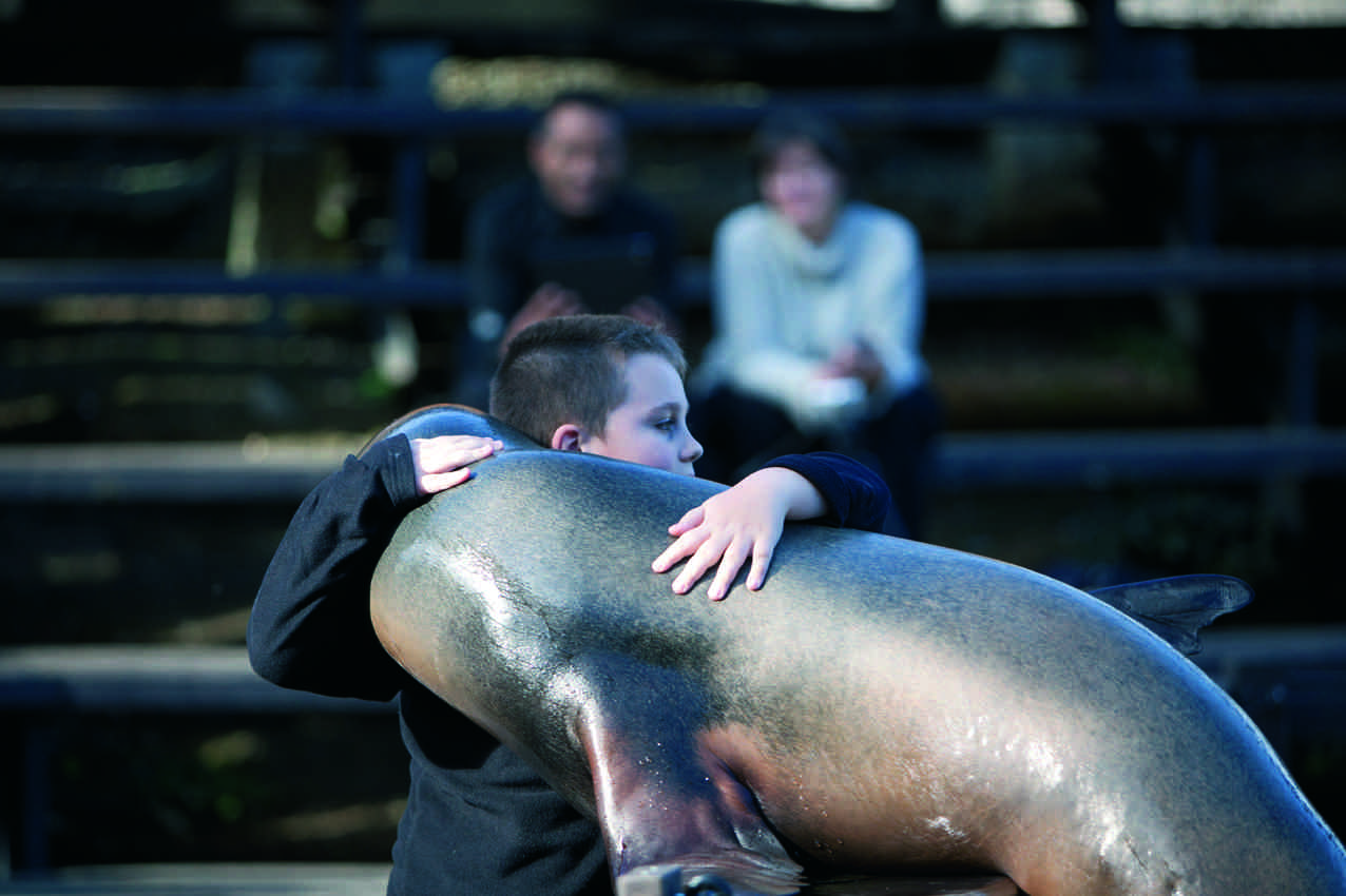 parque-cabarceno-cantabria-foca