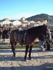 feria_tafalla_febrero_tradicion_3