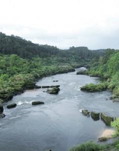 Río Miño en Arbo