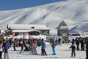 sierra-nevada-ambiente